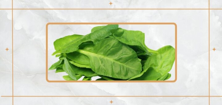 Hoeveel magnesium zit er in spinazie